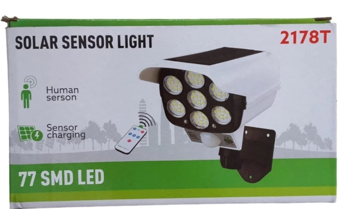Remote Control Human Sensor Spotlight Garden lamp 